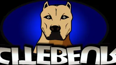 Rebeu Dom Casseur de troufion