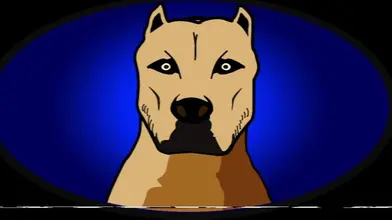 Etalon baise Brako Boy