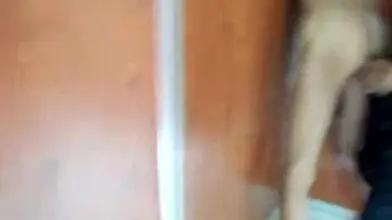 2 étudiants beurs baisent dans les chiottes du bahut