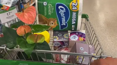 Défi : aller au supermarché avec un plug anal