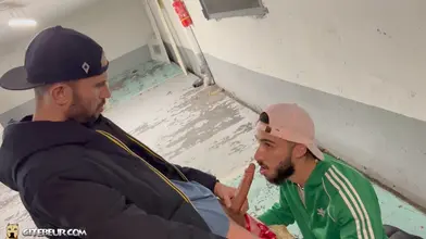 Fellation entre bad boys