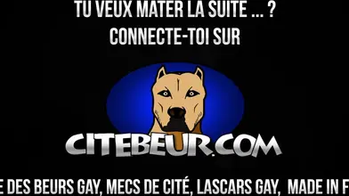 Boss domi — coaching en power-play doux