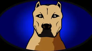 Les plans discrets de Samy