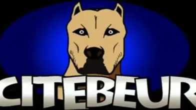 Samy en plan discret avec un voisin hétéro