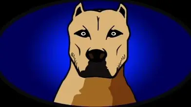 Après la fermeture : latino top & minet chaud à l’entrepôt