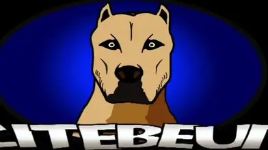 Après la fermeture : latino top & minet chaud à l’entrepôt