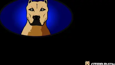 Beau gosse algérien & moment complice