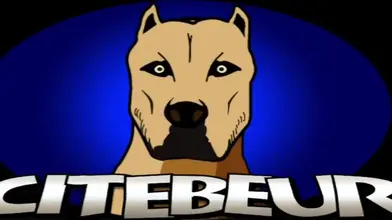 Julien & partenaire algérien plus âgé — oral puis pénétration (consenti)