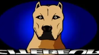 Jeune mec et deux vigiles de nuit