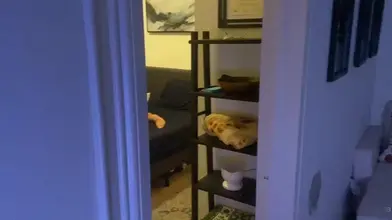 Il teste un masseur prostatique dans son gros cul : il aime ça