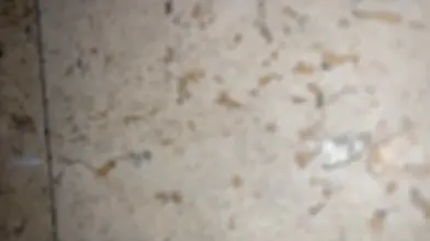 Un gros cul à défoncer pour Noël