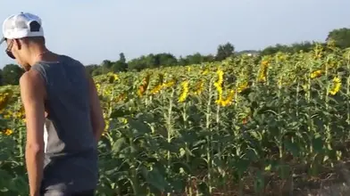 Un voyou dépucele un mec dans un champ