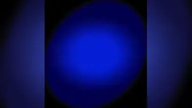 Samy Lakhdar & Mathieu Ferhati : service et rodéo