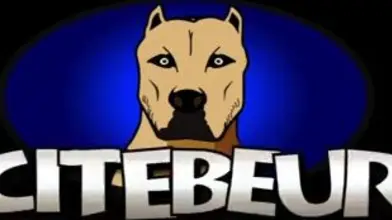 Samy Lakhdar & Mathieu Ferhati : service et rodéo