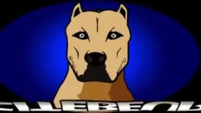 Samy Lakhdar & Mathieu Ferhati : service et rodéo