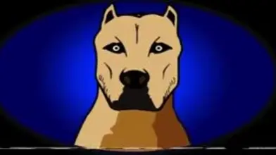 Samy & un partenaire bien monté — session profonde et consentie