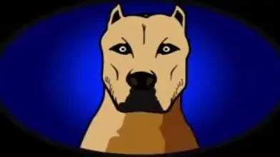 Samy & un partenaire bien monté — session profonde et consentie