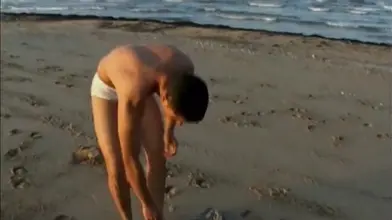 2 zebs arabes pour une vierge