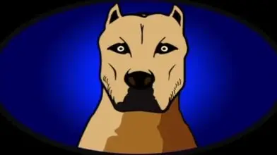 Mehdi 22 cm pour David