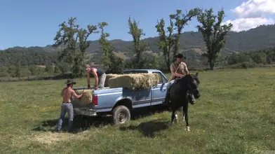 Cowboys – Part One – 1 Tom Wolfe Parker Perry Aybars