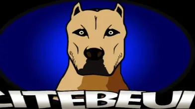 Beau rebeu prend une grosse queue portugaise capuchée