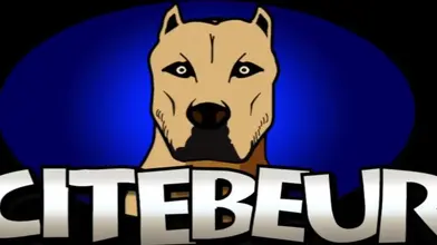 Beau rebeu prend une grosse queue portugaise capuchée