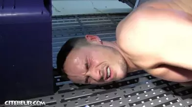 Obéis (version soft)