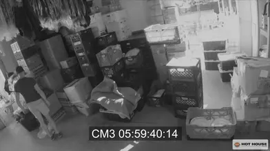 Arad Winwin baise son twink Zander Lane en bareback