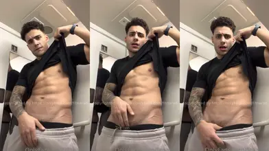 Baisé dans les toilettes de l'avion