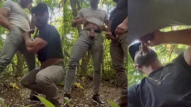 Me faire sucer dans les bois — cruising en plein air