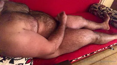 Un ours turc poilu se branle allongé sur un canapé rouge