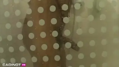 Deux jeunes Arabes baisent sous une douche brûlante